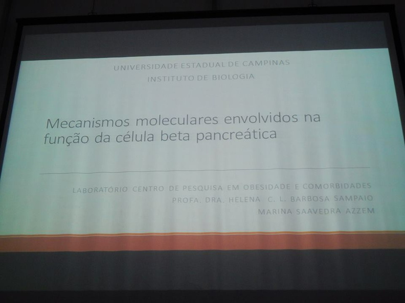 I Curso de Verão em Fisiologia e Bioquímica (7).jpg
