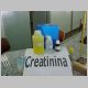 Creatinina 4.html