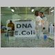 DNA - E.Coli 3.html