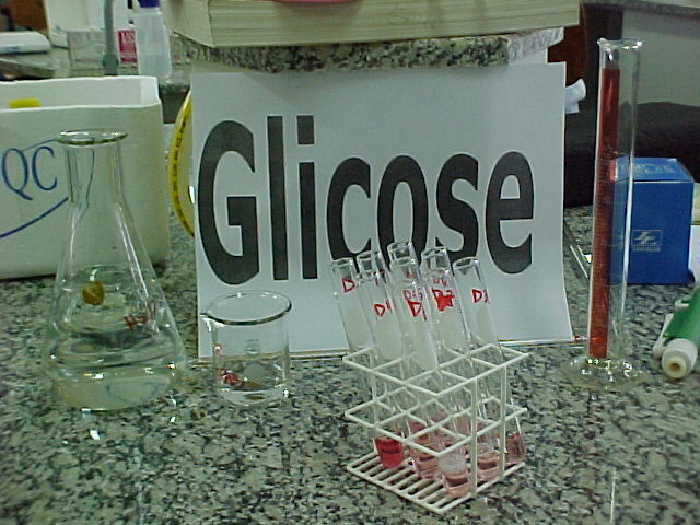 Glicose 1.JPG (77471 bytes)