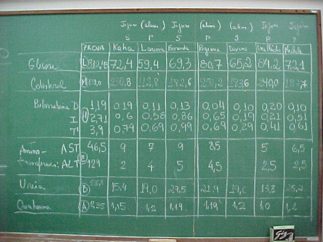 Resultados-Dosagens.JPG (66141 bytes)