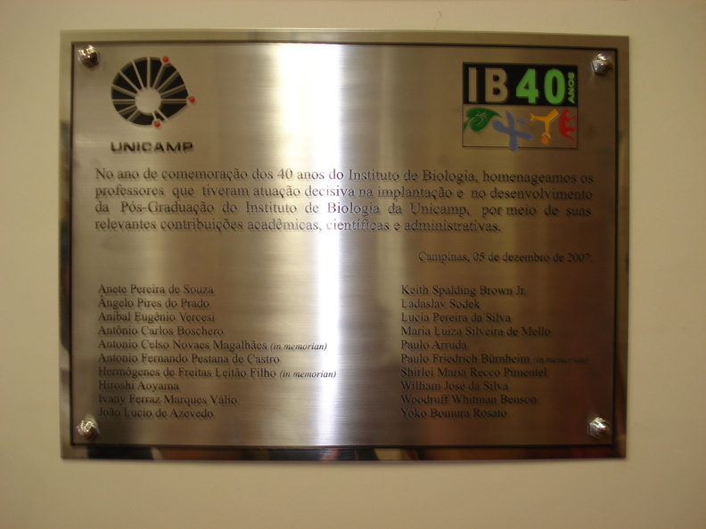 IB40 (44).JPG