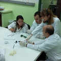 Colheita e amostragem de material biológico para processamento histológico
