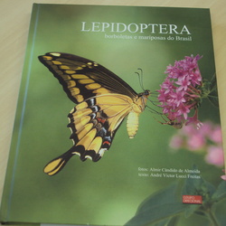 Livro - Lepidoptera: borboletas e mariposas do Brasil