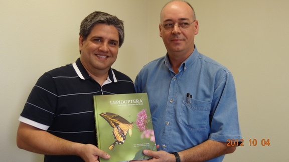 Lepidoptera borboletas e mariposas do Brasil (2)