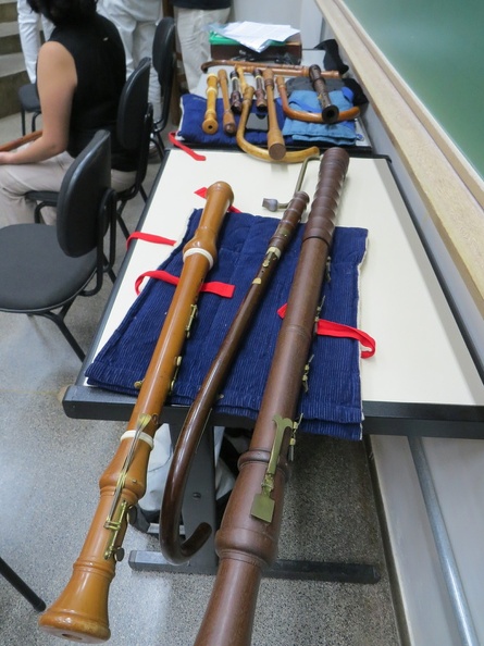 Zebu Trifásico 31.05 (5).JPG