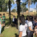 Oficinas Diversidade Vegetal em Foco - Foto Maria Fernanda Calió (1)