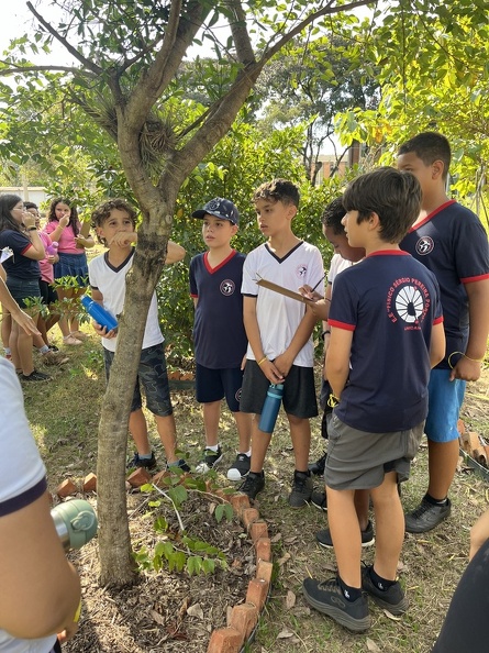 Oficinas Diversidade Vegetal em Foco - Foto Maria Fernanda Calió (2).jpg