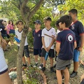 Oficinas Diversidade Vegetal em Foco - Foto Maria Fernanda Calió (2)