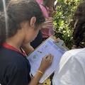 Oficinas Diversidade Vegetal em Foco - Foto Maria Fernanda Calió (3)