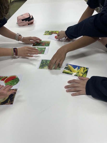 Oficinas Diversidade Vegetal em Foco - Foto Maria Fernanda Calió (8).jpg
