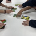 Oficinas Diversidade Vegetal em Foco - Foto Maria Fernanda Calió (8)