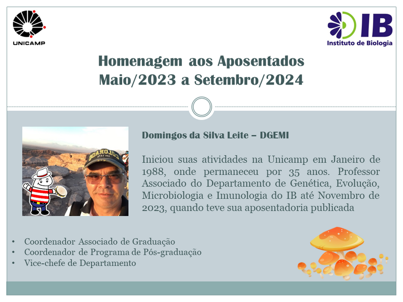 Domingos.PNG