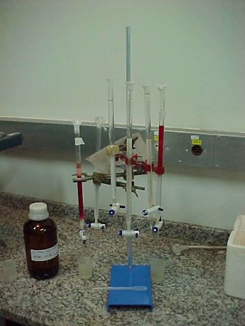 Coluna Hb 1.JPG (48686 bytes)