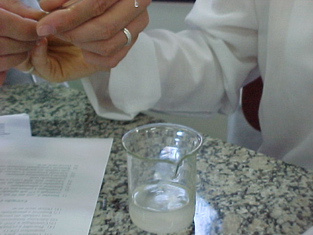 DNA 2.JPG (45437 bytes)