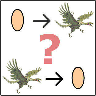 Uma teoria da evolução das galinhas